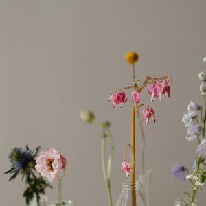Delicate Beauty